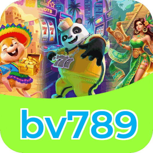 Métodos de pagamento aceitos na bv789